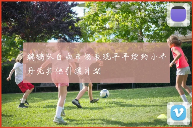 鹈鹕队自由市场表现平平续约小乔丹无其他引援计划